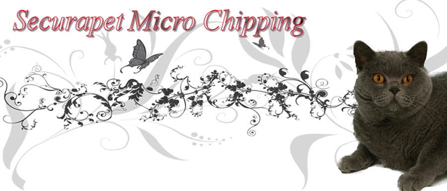 securapet micro chipping in your own home
